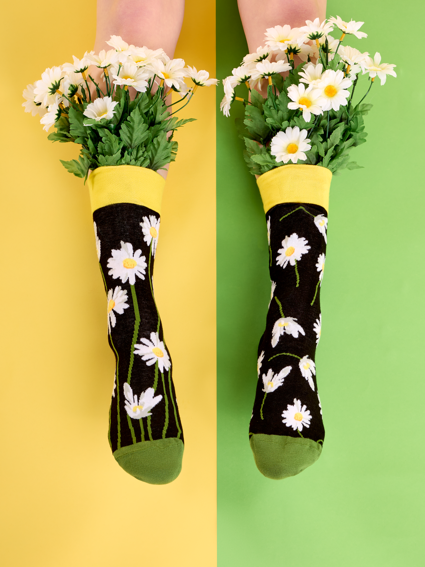 regular-socks-daisies-at-night-04/04794d9d7548038ef94fd3210668e32ad2e9ebf4