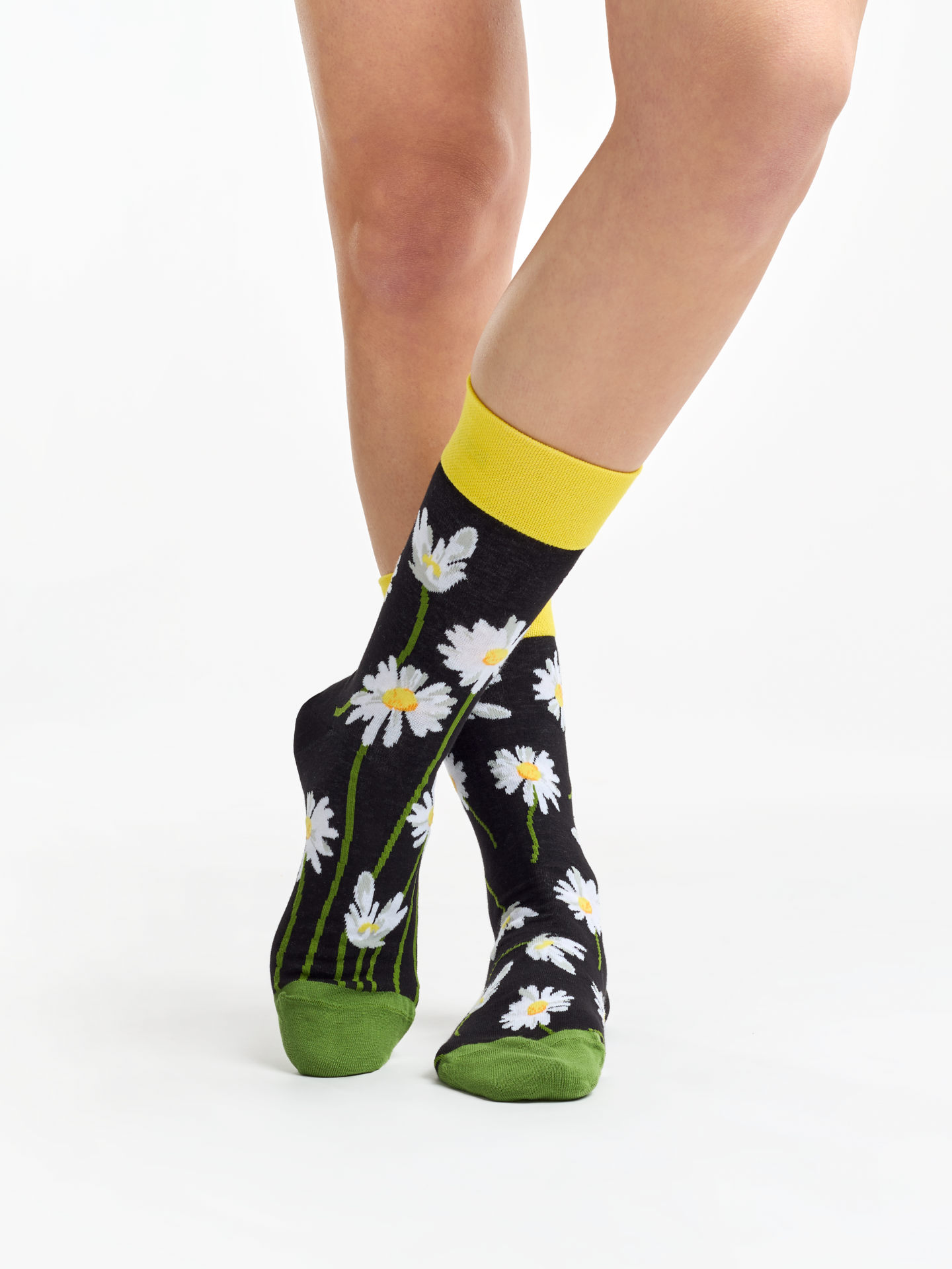 regular-socks-daisies-at-night-f2/f2562de4cc796b370f18209191370b66ddcf469b