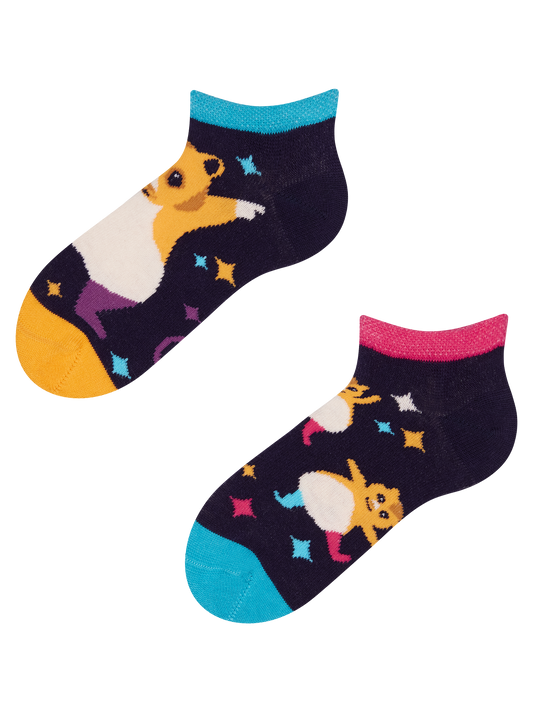 kids-ankle-socks-party-hamsters-d2/d24883f10d9f77385c37cbfcf3441ddd1bd93ae3