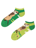 ankle-socks-meerkats-31/316582ff41d22200f987687c98cde85005416297