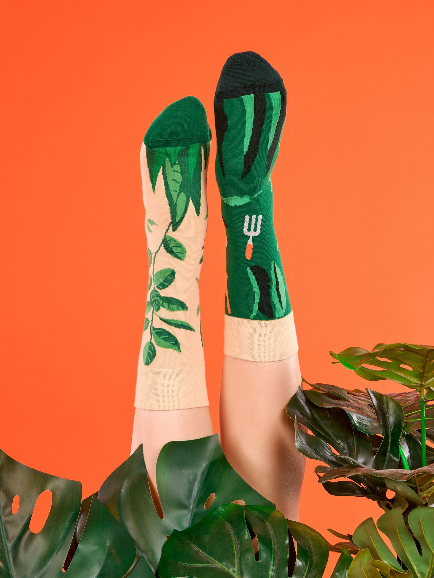 regular-socks-in-the-garden-7c/7c09d5f5a434ad8ebefbfde84bd959d464ed16f8