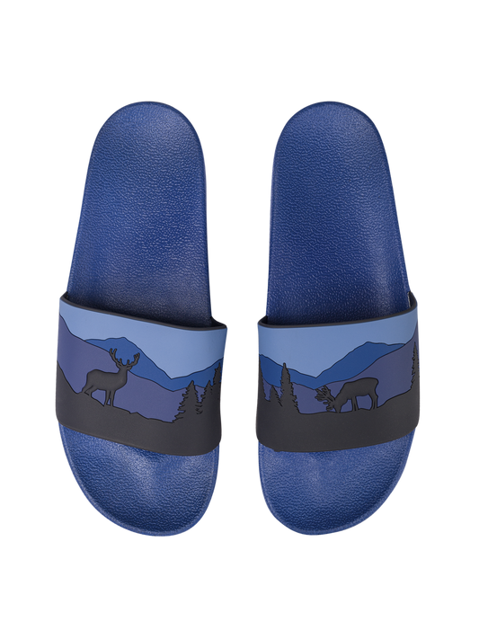 slides-deer-in-forest-cc/cceb8c0d666d078c1f46fead77472a8103856751