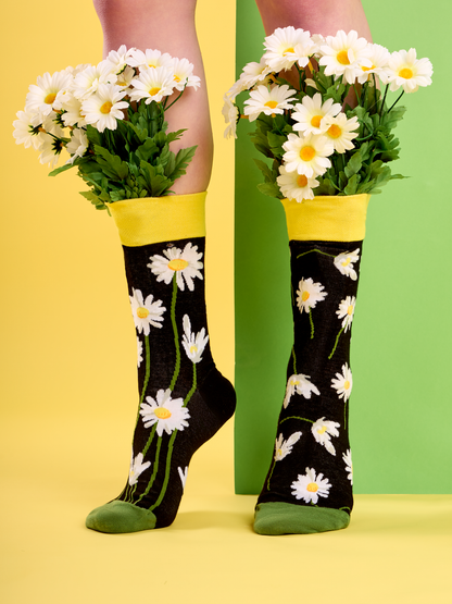 regular-socks-daisies-at-night-74/743114fa7ab2ed8978c76ca72eb81e415bd476d5