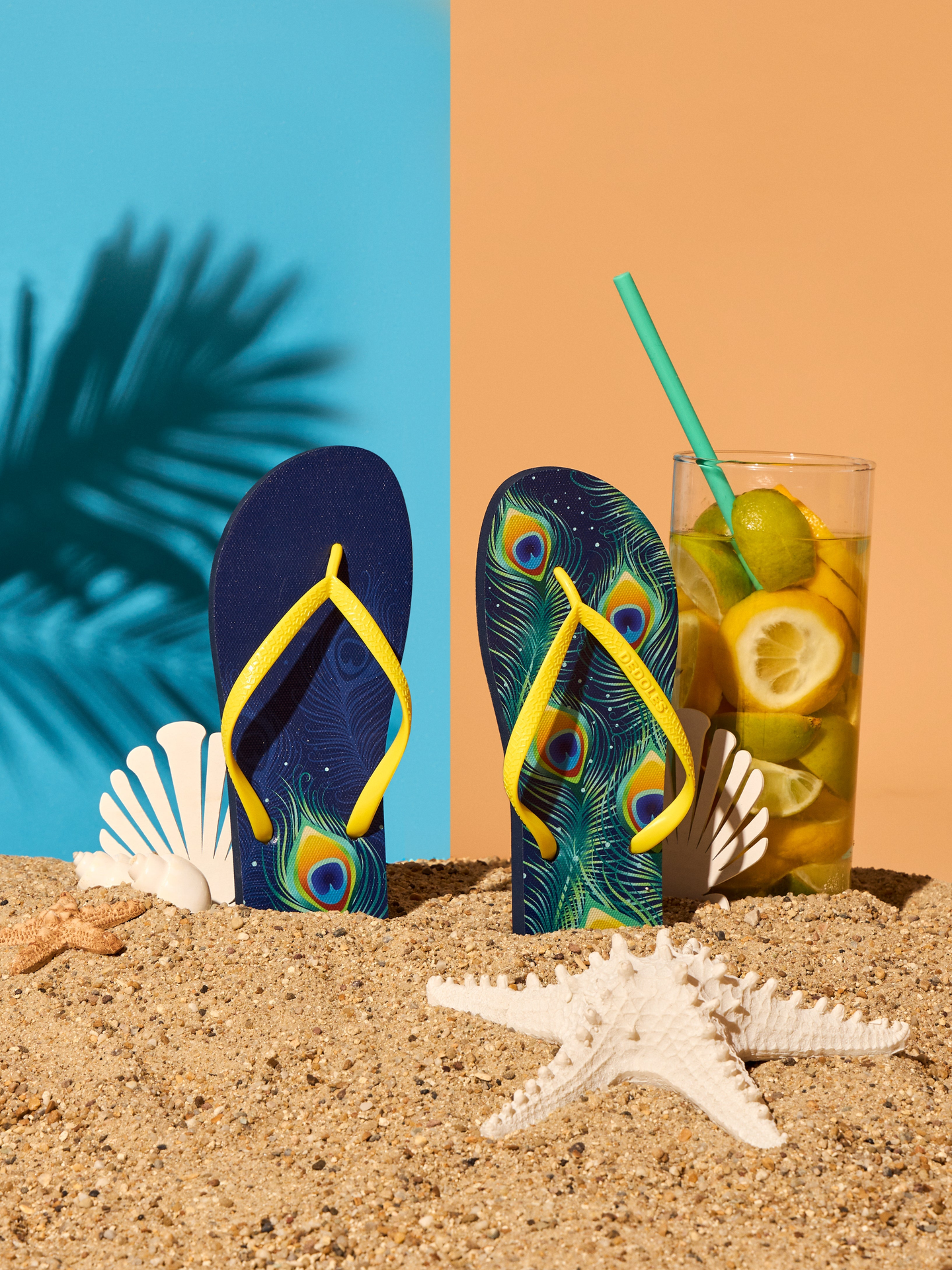 flip-flops-peacock-feathers-59/591957a091b9a82a81522246ee9693ccbe48b56c