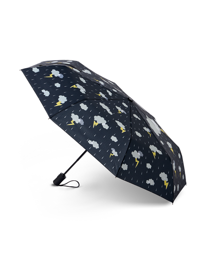 umbrella-storm-50/5076b02c825cefa611503ead1e6def3834baa3ca