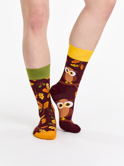 regular-socks-curious-owl-f9/f984204bac20d6cbe85817c9f96f52f6d76e88e7