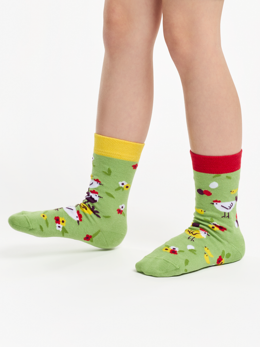kids-socks-hens-chicks-71/717dfec5cddd237717c4de29781d80589e2e84dc