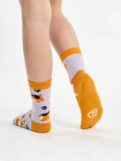 kids-socks-corgi-dog-6b/6b97cb65c68da12efbbd7ab4c7079f6707ee71cd