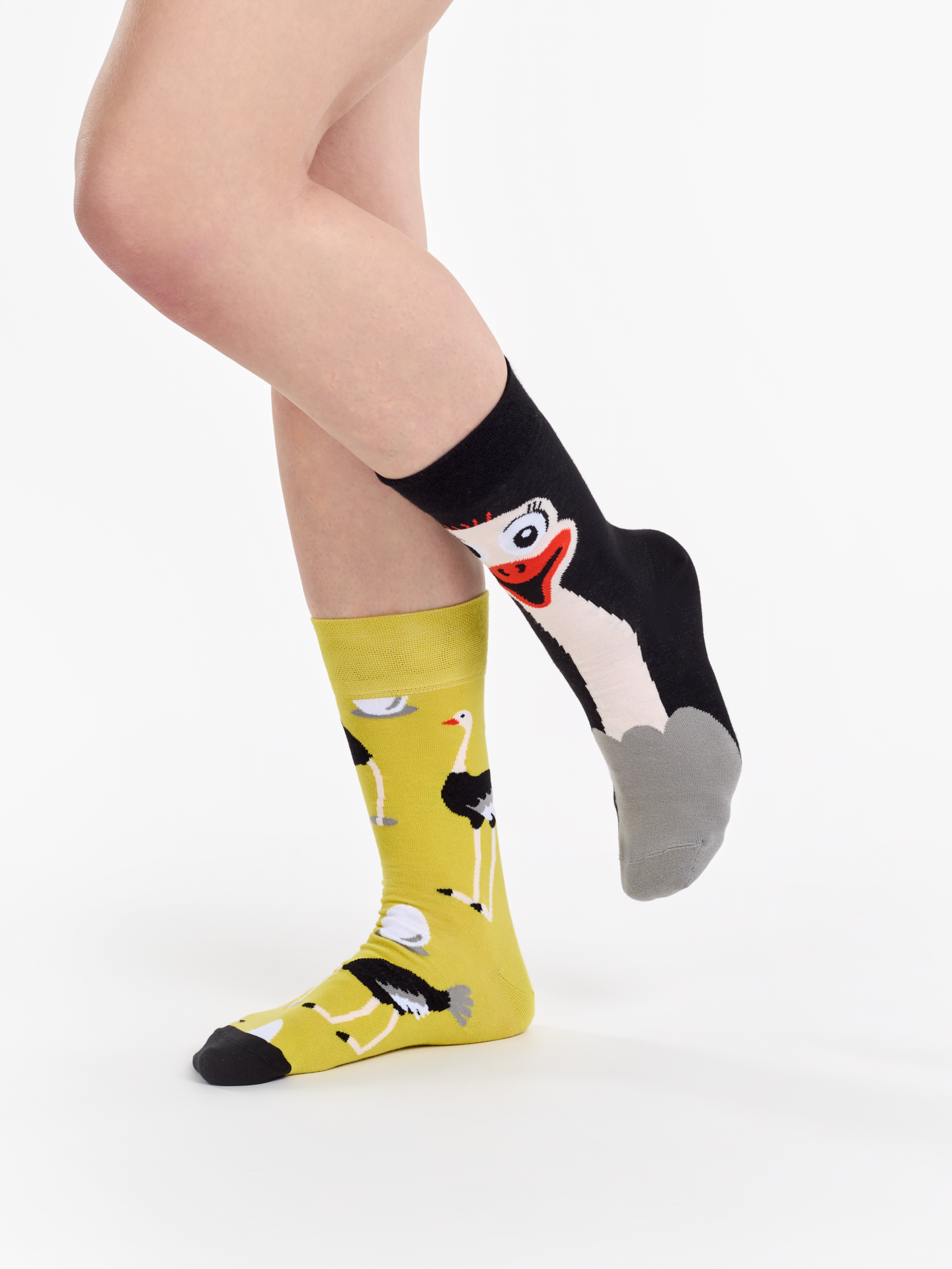 regular-socks-ostrich-e1/e100f7e96fe1da99b674c31746a68288a8371b66