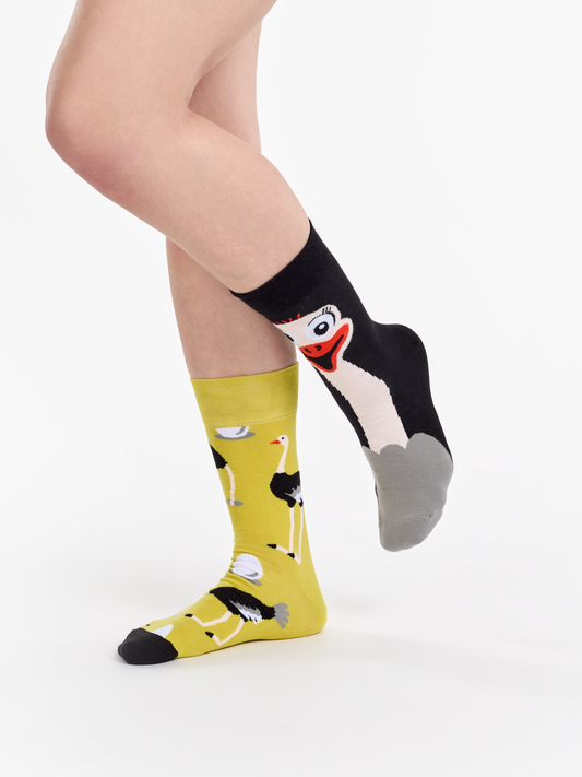 regular-socks-ostrich-e1/e100f7e96fe1da99b674c31746a68288a8371b66