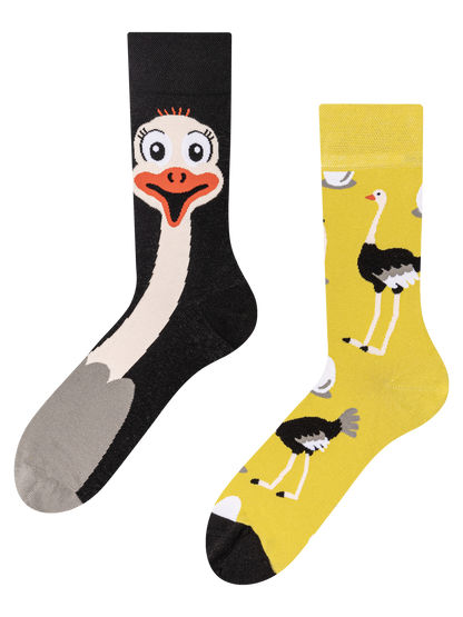 regular-socks-ostrich-a1/a1ee1772cdecab837c02dba07aa1ecc4c5c41f78