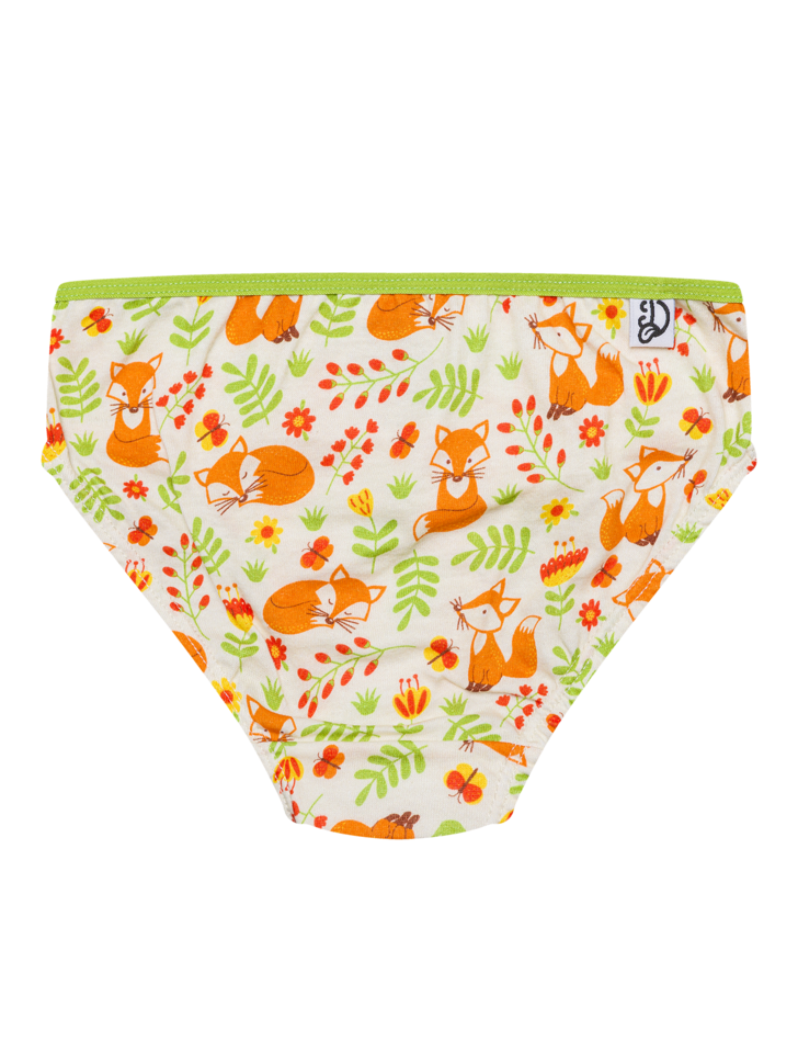 girls-briefs-fox-butterflies-fe/fef0afeadd17e742d2f8e854a33f398c3c6e9b81