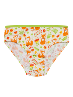 girls-briefs-fox-butterflies-aa/aab089db97d9c974c519f5e5b48318b3ef738506