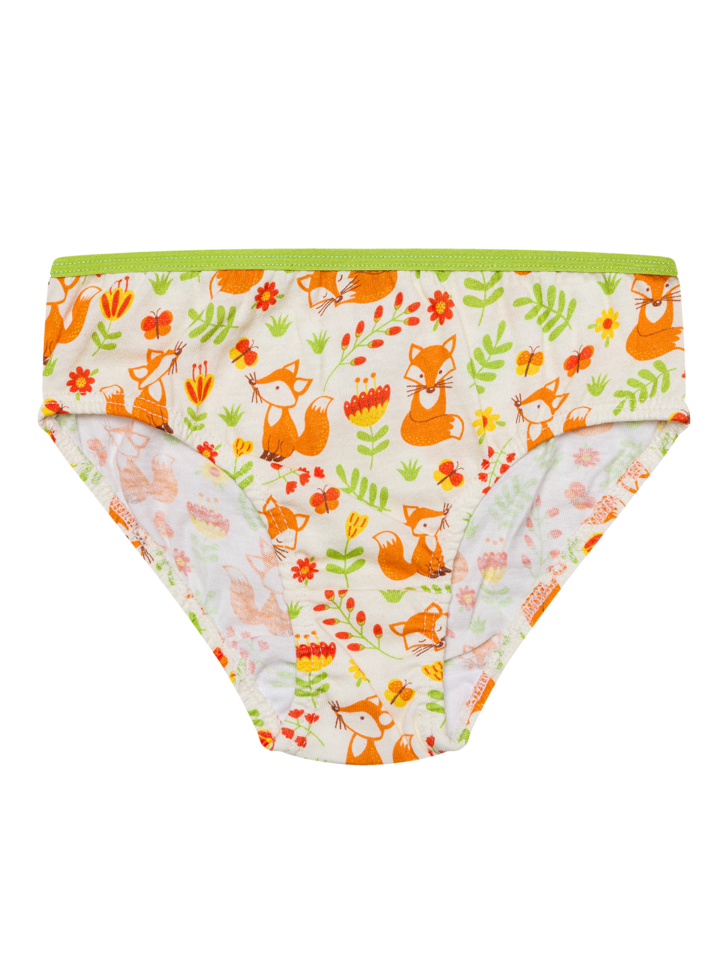 girls-briefs-fox-butterflies-aa/aab089db97d9c974c519f5e5b48318b3ef738506